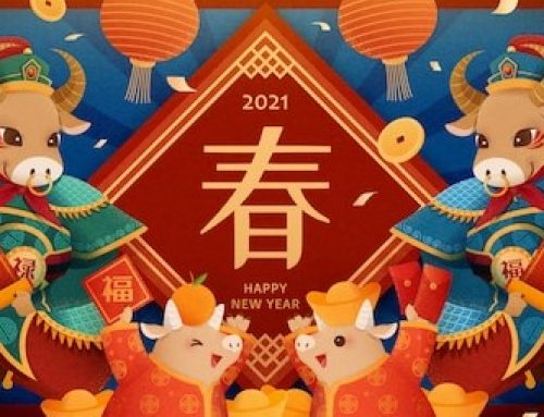 中天安驰祝您春节快乐!